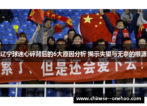 辽宁球迷心碎背后的6大原因分析 揭示失望与无奈的根源