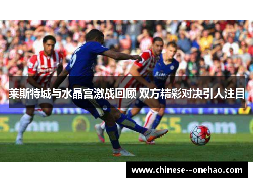 莱斯特城与水晶宫激战回顾 双方精彩对决引人注目