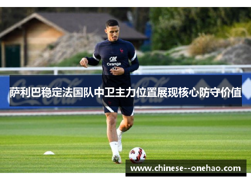 萨利巴稳定法国队中卫主力位置展现核心防守价值