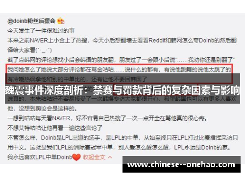 魏震事件深度剖析：禁赛与罚款背后的复杂因素与影响